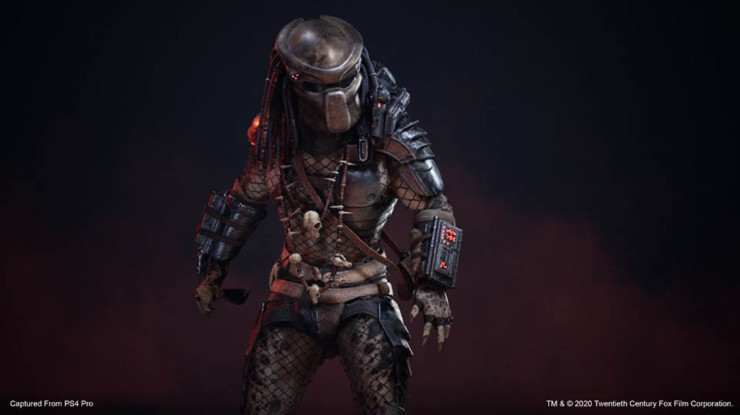 predator hunting