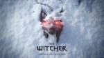 The witcher