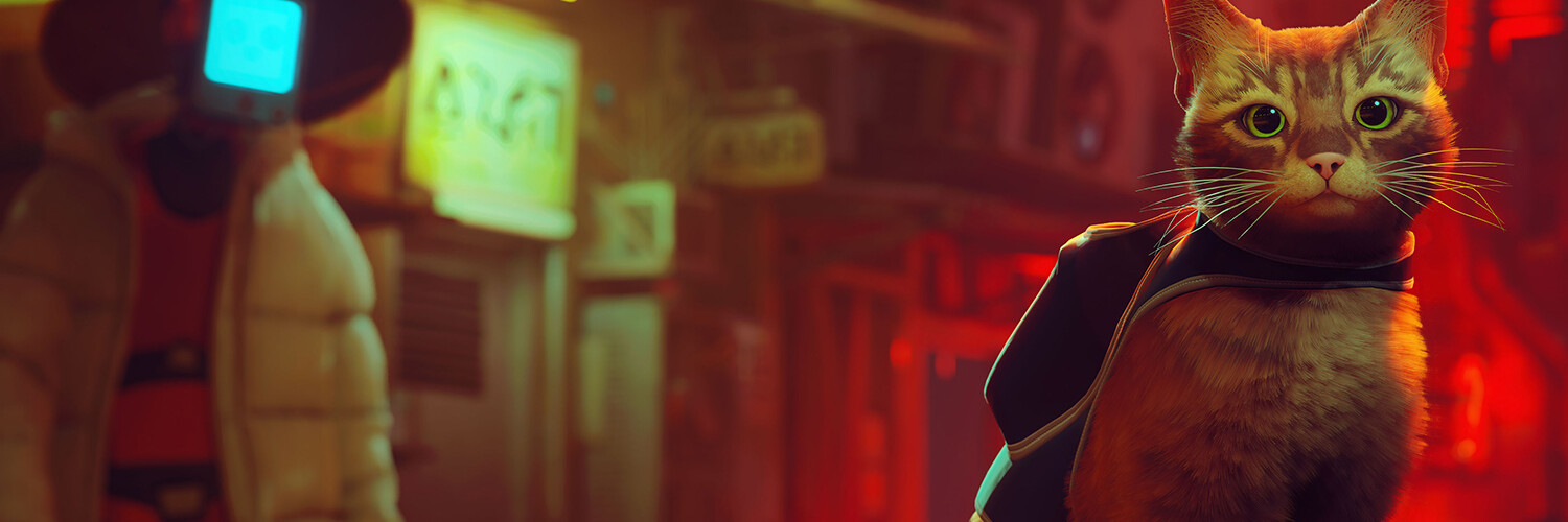 stray analisis ps5