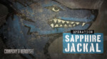 Operation Sapphire Jackal