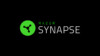 synapse