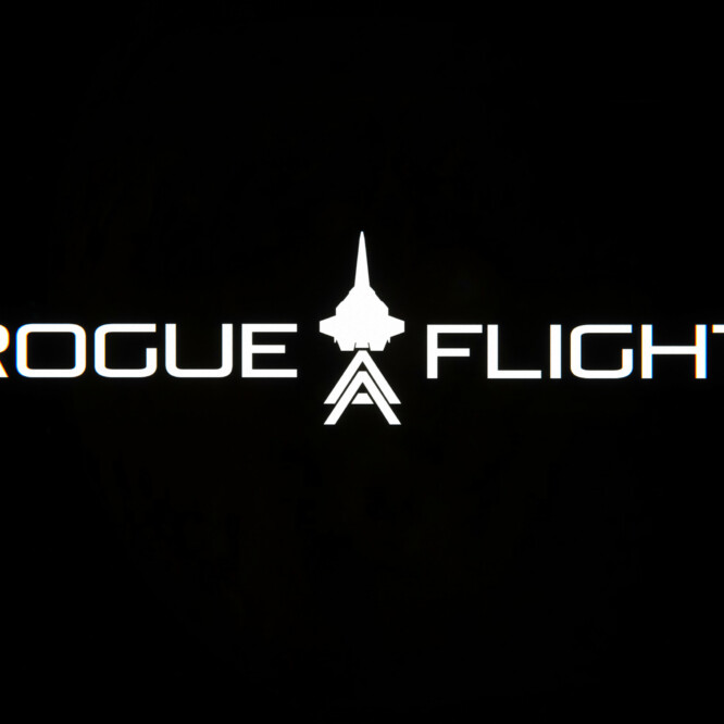 Rogue Flight