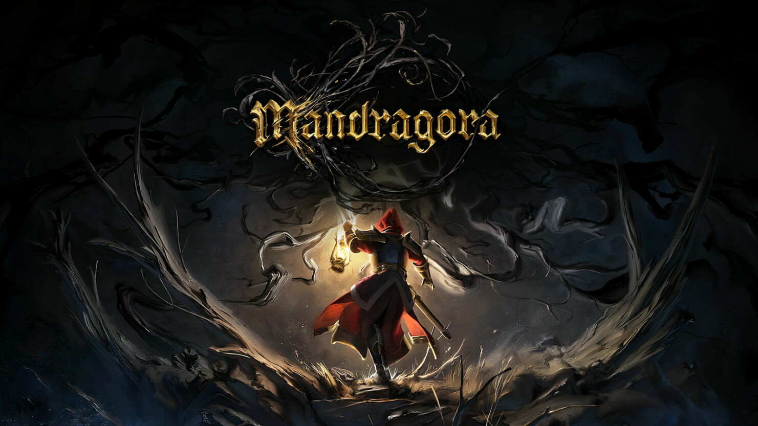 mandragora