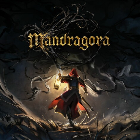 mandragora