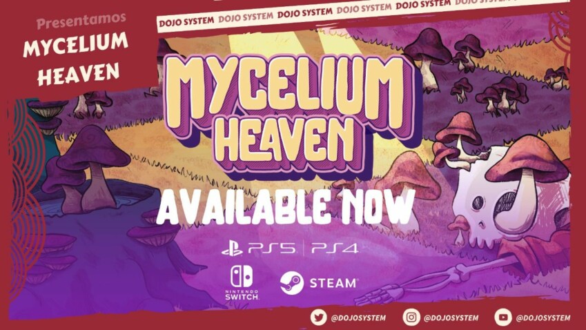 Mycelium Heaven