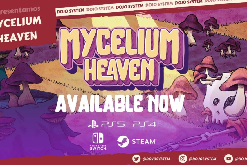 Mycelium Heaven