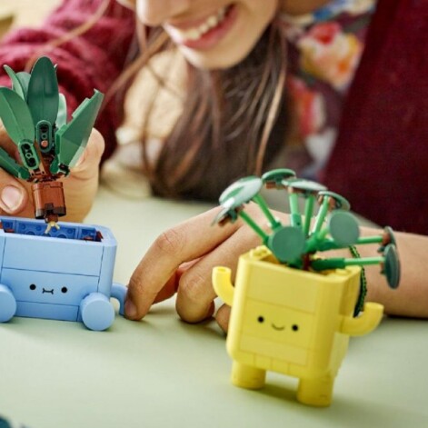 LEGO Botanicals y LEGO Art