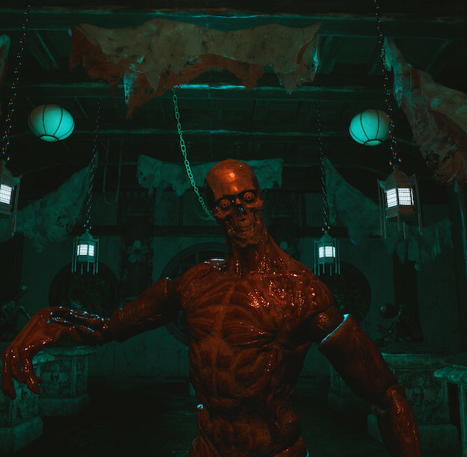 The Sinking Forest – 沈む森