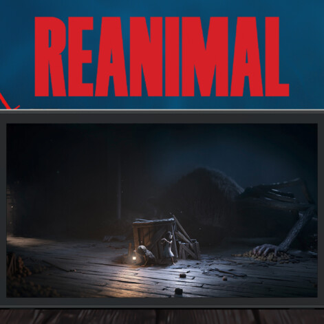 Demo de REANIMAL