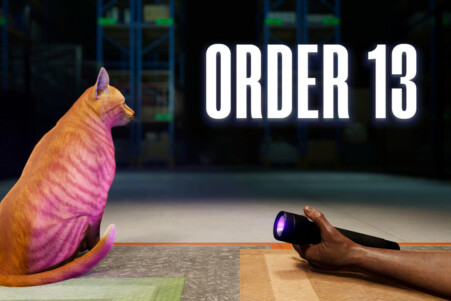 ORDER 13