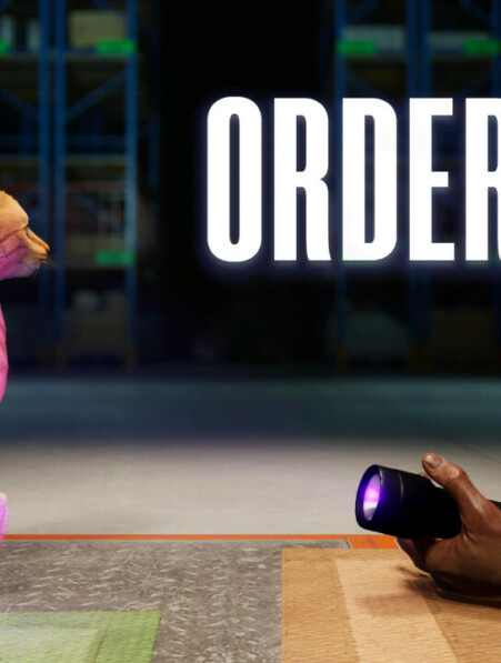 ORDER 13