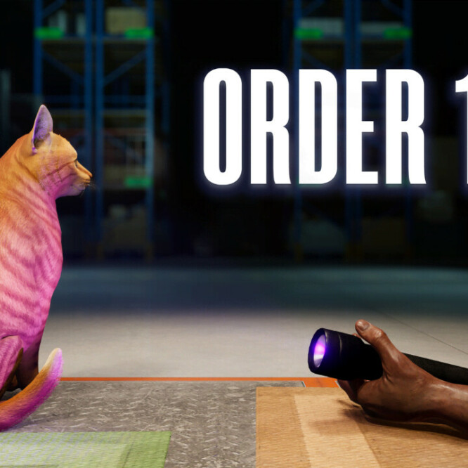 ORDER 13