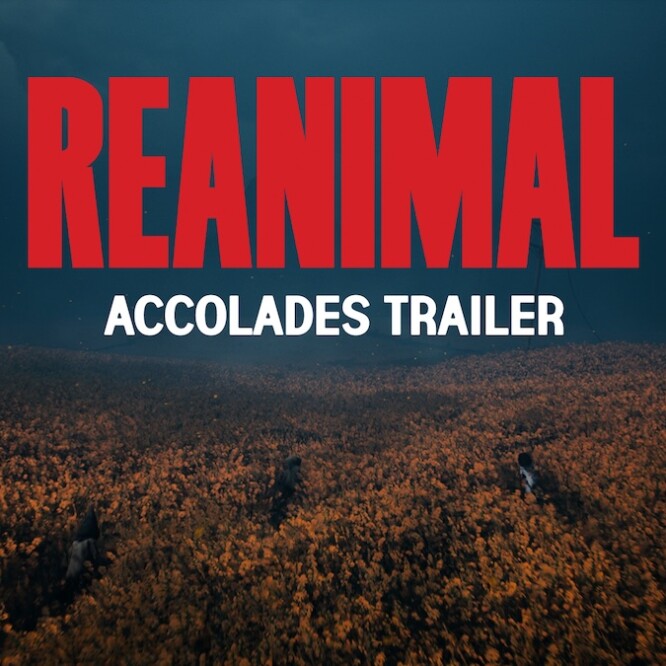 REANIMAL elogios