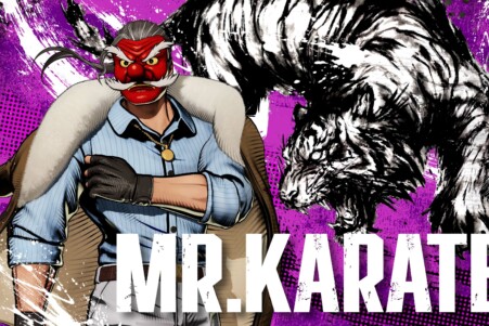 Mr. Karate