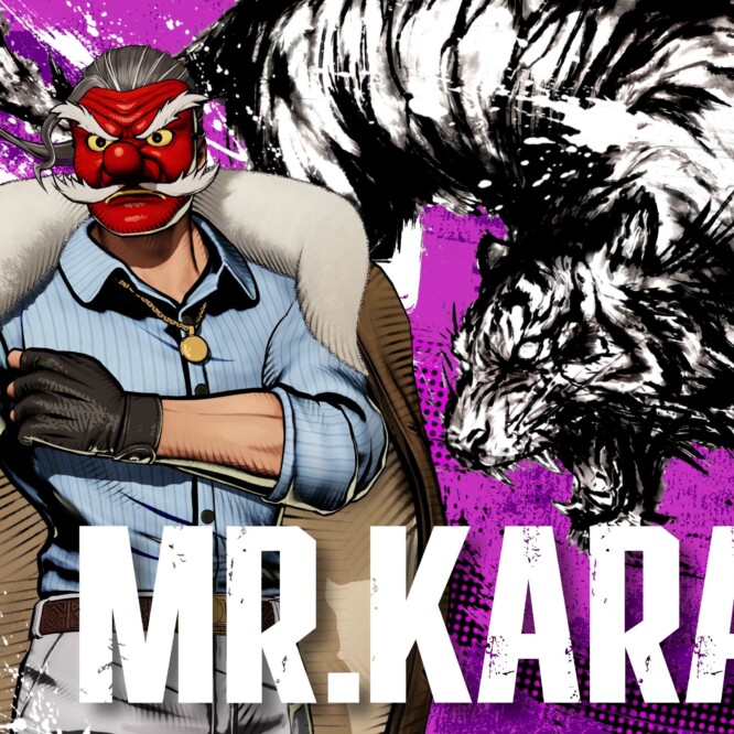 Mr. Karate