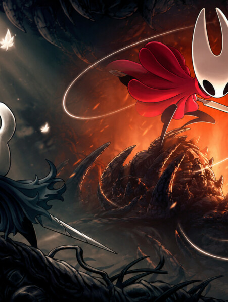 hollow knight