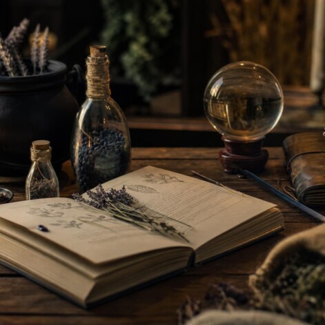 Witchbrook, por fin con fecha: 28 de enero de 2027 en PC, PS5, Xbox y Switch